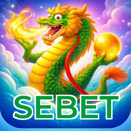 SEBET Login FAQ